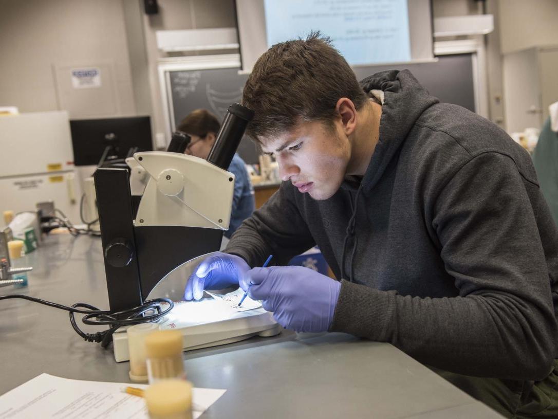 Biology student examining a sample on a lab scope.